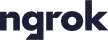 ngrok 